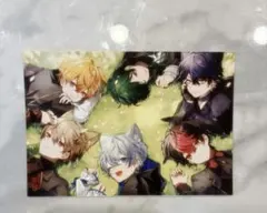 シクフォニ ブロマイド ケモ耳 シークレット L版