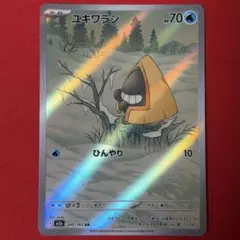 AR ユキワラシ 1枚