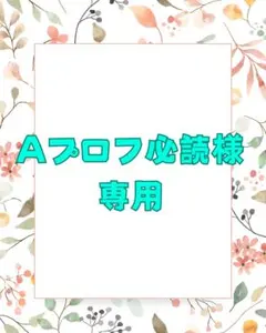 Aプロフ必読様　専用