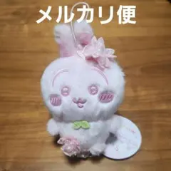 ちいかわ ぬいぱれっと さくらいろ マスコット うさぎ
