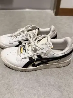 アシックス　ASICS GEL-PTG RE 24.5cm