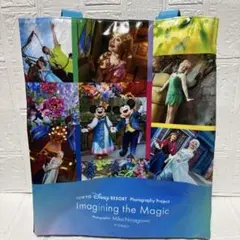 ディズニー　イマジニングザマジック　トートバッグ　　ファンタジースプリングス