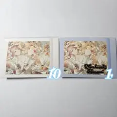 望月穂波 ぱしゃこれ 7B ジュンブラ プロセカ まとめ売り