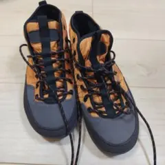 Item thumbnail for item fd921fe8-9a0a-476c-a615-7da84c392858