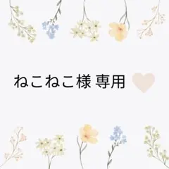ねこねこ様⭐︎性別発表♡ジェンダーリビールカード スクラッチタイプ2枚set