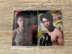 Item thumbnail for item 2844e2b1-e46b-4adf-a2d3-09ce825de87a