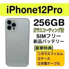 ⭐️美品⭐️ iPhone 12 Pro 256GB シルバー SIMフリー