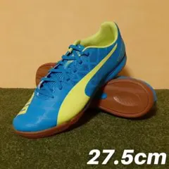 新品 プーマ エヴォスピードSL 29㎝ 10試合限定モデル - メルカリ