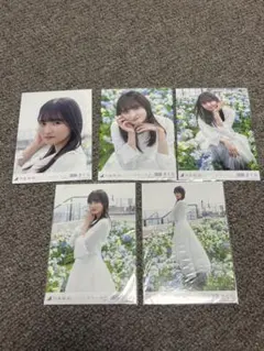 乃木坂46 遠藤さくら ここにはないもの 5種コンプ 生写真