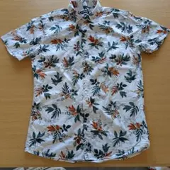 Item thumbnail for item 1fdfd7ba-c1d8-4206-8842-b65c335f21de