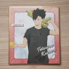 ハイキュー 黒尾鉄朗 色紙 水遊び