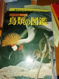 珍らしい動物たち 高島春雄著 ヤマイヌ(ニホンオオカミ)については