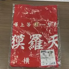 Item thumbnail for item 381d220b-81ac-44e7-b35a-247f386f9590