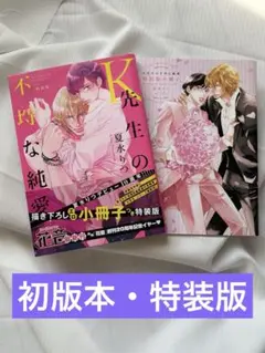 【初版本・特装版】夏水りつ K先生の不埒な純愛