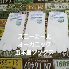 ３足組♪オーガニックコットン　スニーカー丈・ 五本指ソックス(23～25)