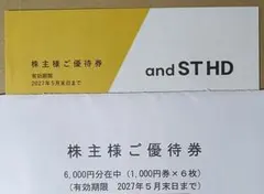 アンドエスティ（旧アダストリア）の株主優待券　6000円分のサムネイル
