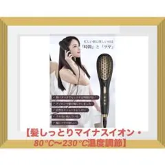 ヘアアイロン ストレートブラシ 【マイナスイオン・80℃～230℃温度調節】