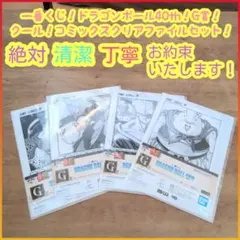 一番くじ ドラゴンボール G賞 g コミックスクリアファイルセット セミコンプ