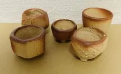 Item thumbnail for item 400bbba7-88ab-4d7a-b0aa-3b23f1f98f3e