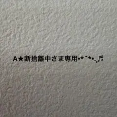 A★断捨離中さま専用•*¨*•.¸♬︎