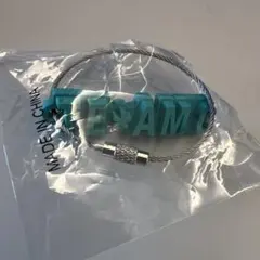 岩田剛典 SPACECOWBOY TEAMG ガチャ ラバーキーホルダー 緑