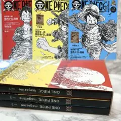 ワンピースマガジン VOL.1,2,3 トレジャーボックス付 付録未開封】ワンピースマガジン vol.1.2.3 トレジャーボックス付