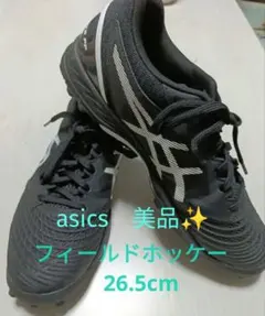 貴重】‼️限定特価‼️ASICS RoadHawk/FF2 WN - メルカリ
