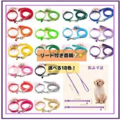 【選べる全18色】2本　首輪　紐付き 鈴付き 猫 犬 調整可 肉球柄