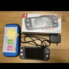 Nintendo Switch Lite 充電器/ケース付き