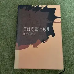 美は乱調にあり 瀬戸内晴美