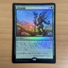 辺境地横断　foil ※大幅値引き対象