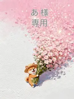 あ 様　専用
