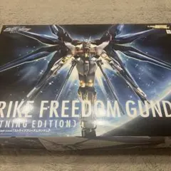 STRIKE FREEDOM GUNDAM LIGHTNING EDITION