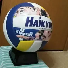 2026年最新】Bouncing Ball ハイキューの人気アイテム - メルカリ