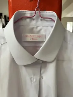 Item thumbnail for item 7199addb-47e1-4a1c-ae4c-340bbc3dfdfe