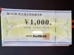 ビックカメラ　株主優待券　6,000円分