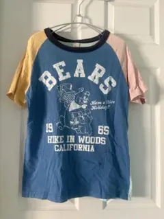 ニードルワーク　クマプリント クレイジーカラーラグランTシャツ Lサイズ