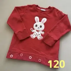 Item thumbnail for item 7f362093-c981-485c-be2e-ea9ac40c8957