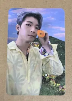 SEVENTEEN セブチ ウォヌ SECTOR17 トレカ