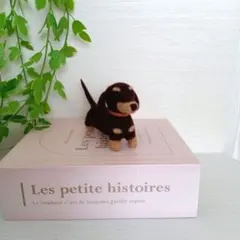 羊毛フェルト 犬　ミニチュアダックスフンド　チョコタン