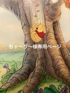 ちゃ～り～様専用ページ