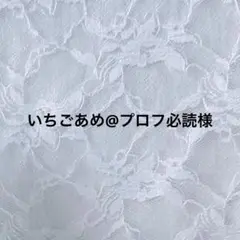 専用ページ
