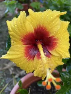 ja9lin4ko6様 リクエスト 3点 まとめ商品