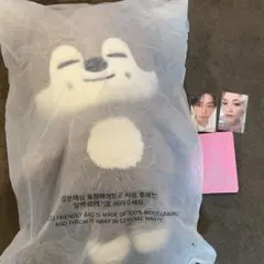 straykids SKZOO バンチャン ウルフチャン テディベア - メルカリ