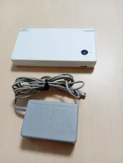 ニンテンドーDSi ホワイト 本体 ACアダプター付き