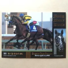 99上 競馬カード、バブルガムフェロー【3点300円】