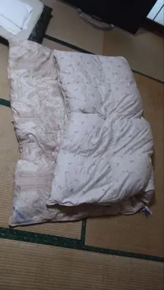 西川 羽毛布団 ウクライナ産ダウン シングル