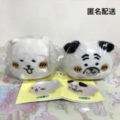 ナガノキャラクターズ　ねそべりぬいぐるみ　くま　パグ　ガチャガチャ