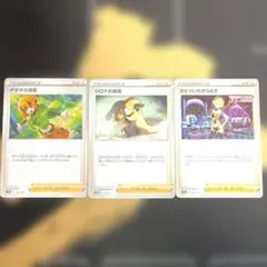 人気サポート3枚セット（ナタネの活気・シロナの覇気・カミツレのきらめき）