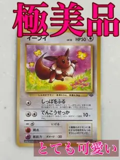 イーブイ ● 第2弾拡張パック旧裏 ポケモンジャングル【極美品】
